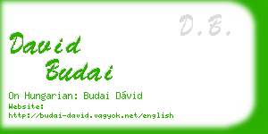 david budai business card