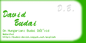 david budai business card